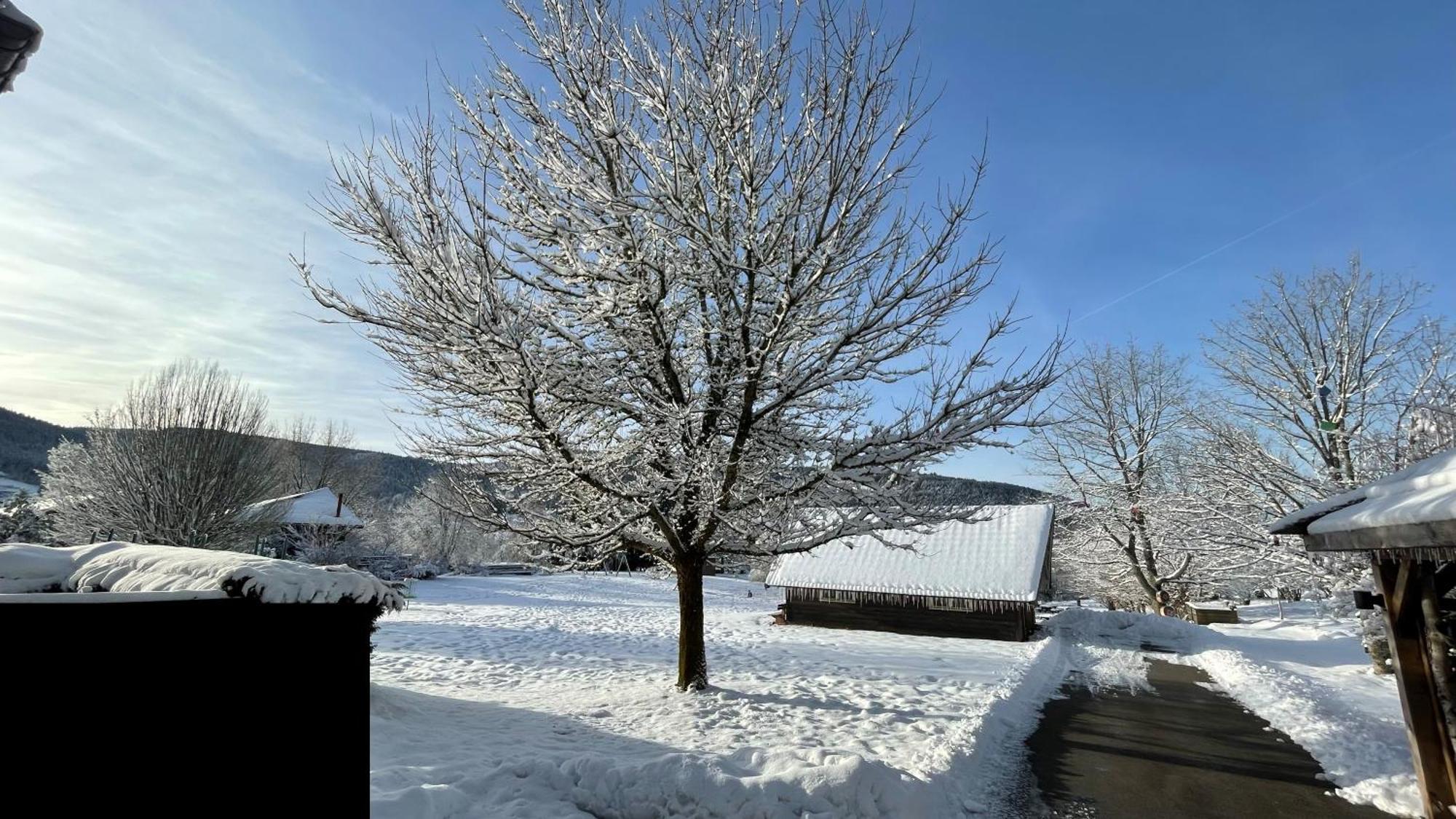 ※ Residence Pomme De Pin - Terrasse - Nature ※ クソンリュプト・ロンジュメール エクステリア 写真